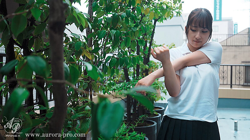 サンプル画像 9