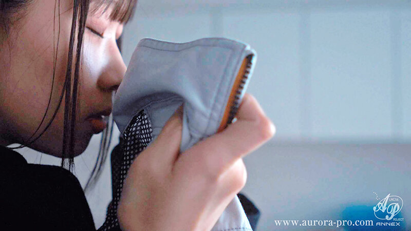 サンプル画像 3