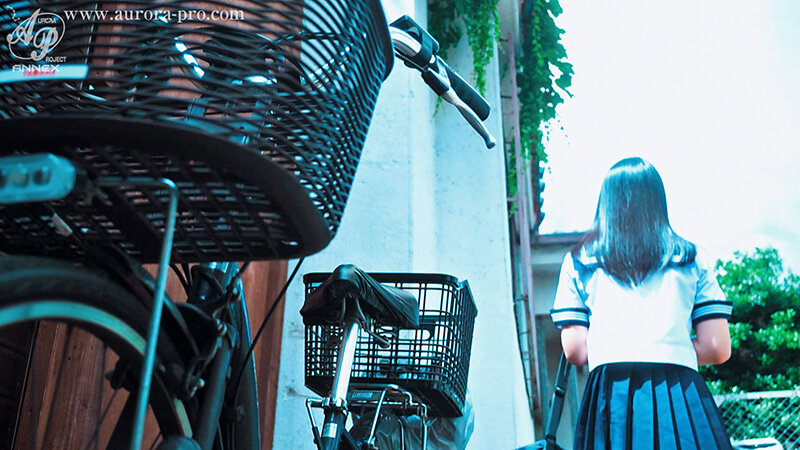 サンプル画像 3