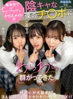 パッケージ画像