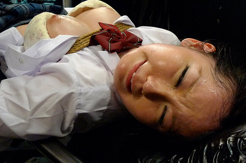 サンプル画像 15