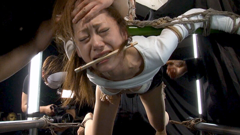 サンプル画像 7