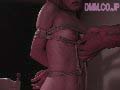 サンプル画像 30