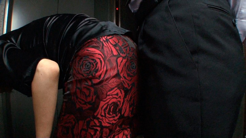 サンプル画像 8