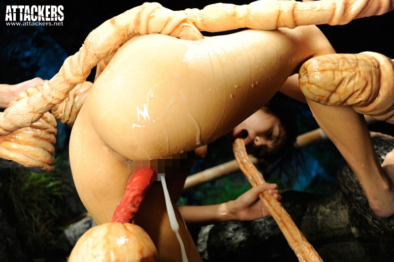 サンプル画像 11