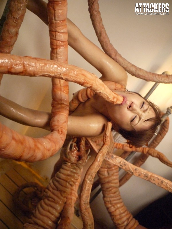 サンプル画像 10