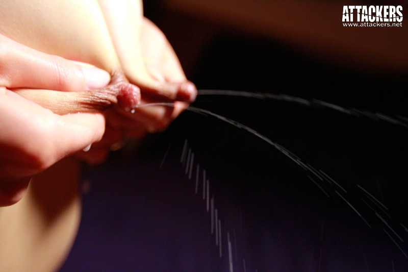 サンプル画像 7