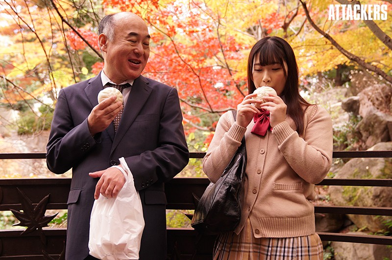 サンプル画像 3