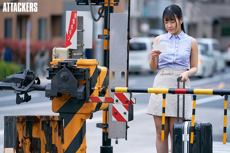 サンプル画像 3