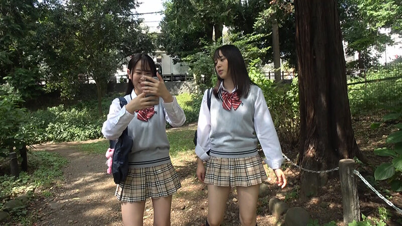 サンプル画像 5