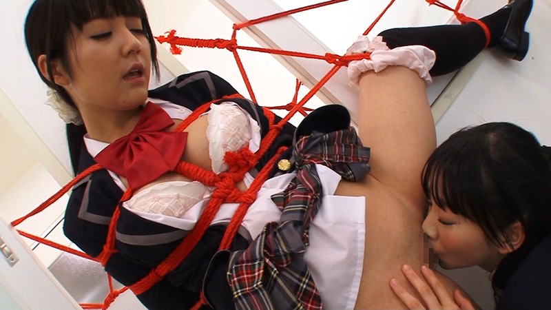 サンプル画像 16