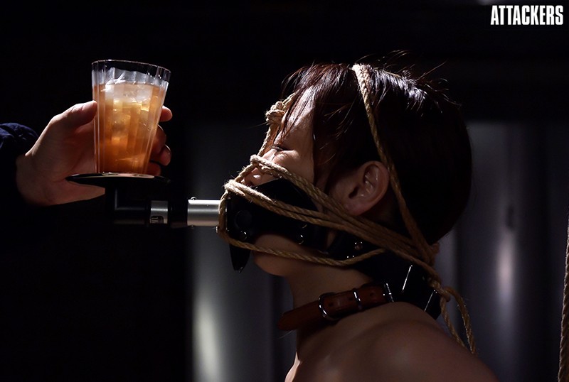 サンプル画像 8