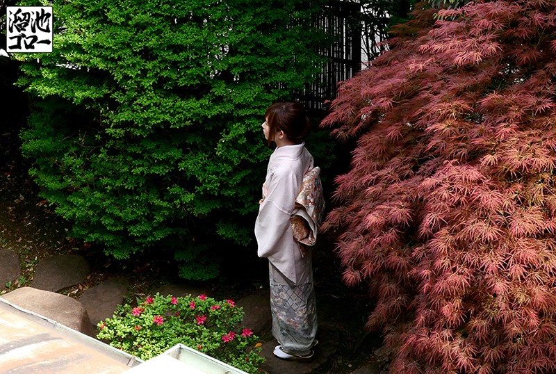 サンプル画像 4