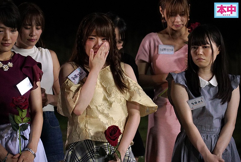 サンプル画像 14