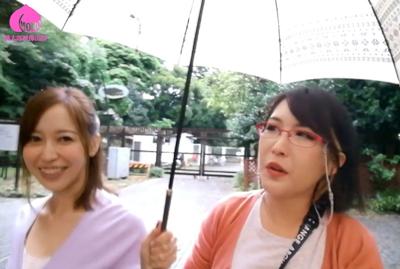 サンプル画像 13