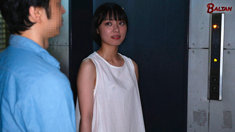 サンプル画像 12