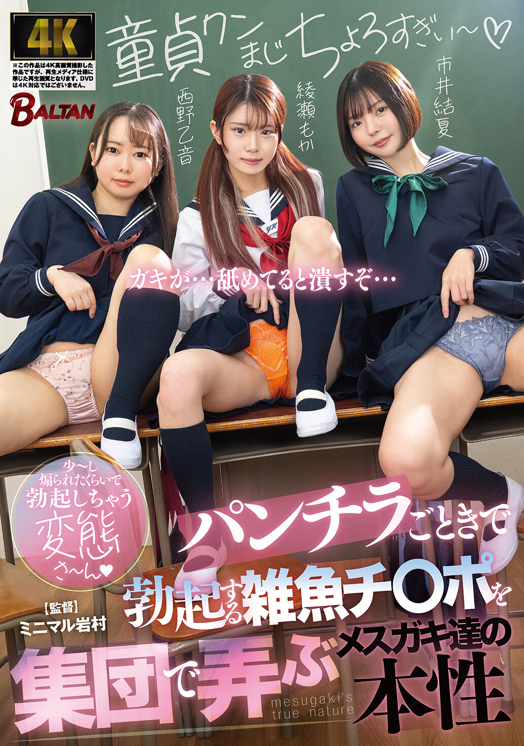 パッケージ画像