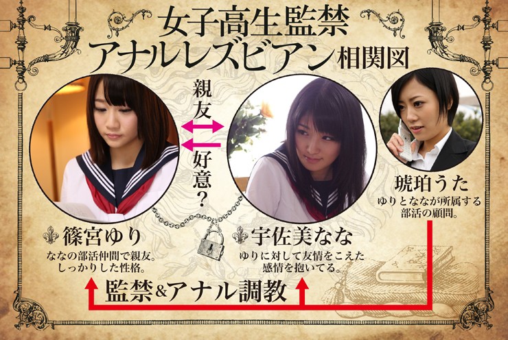 サンプル画像 11