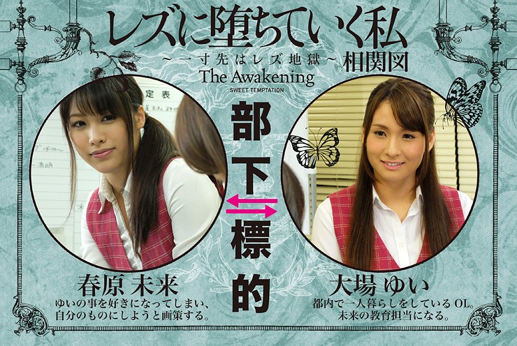 サンプル画像 11