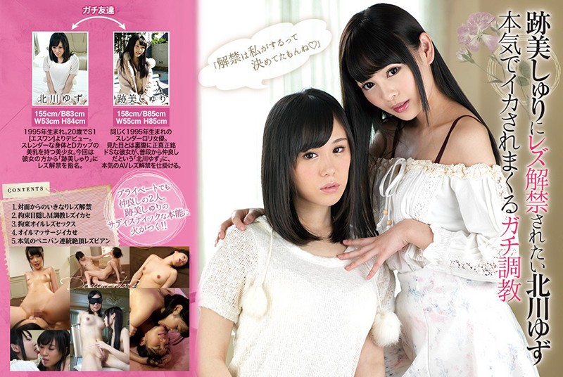 サンプル画像 11