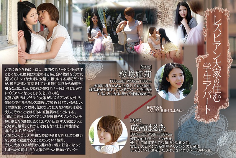 サンプル画像 11