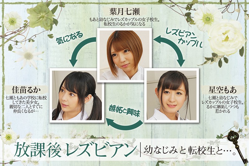 サンプル画像 11