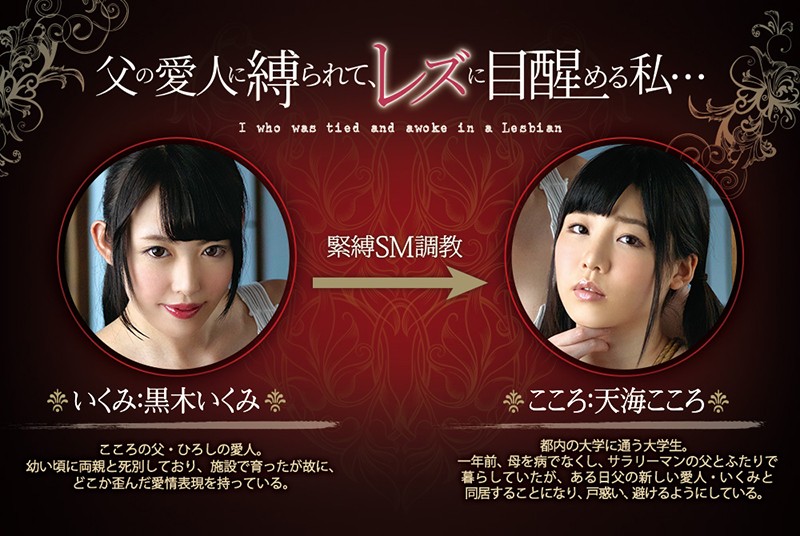 サンプル画像 11