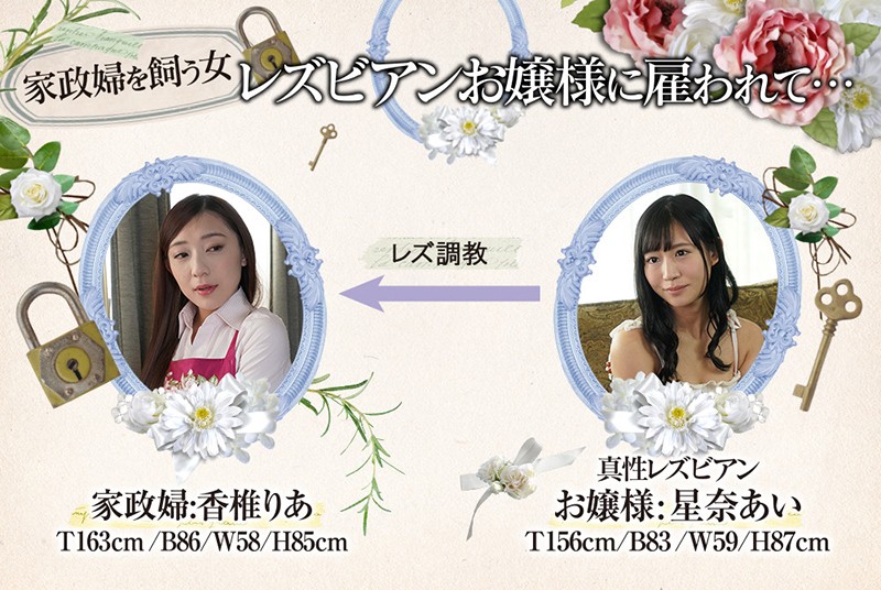 サンプル画像 11