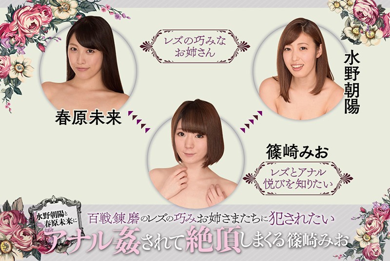 サンプル画像 11