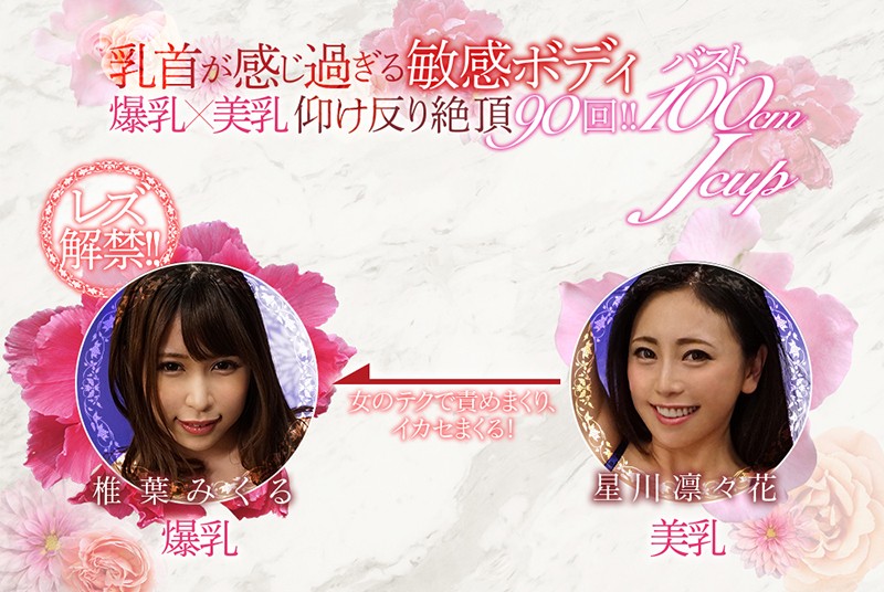 サンプル画像 11