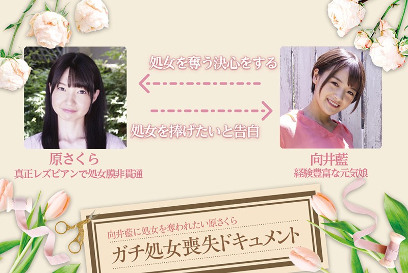 サンプル画像 11