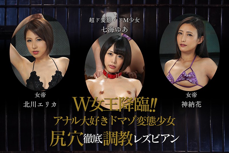 サンプル画像 11