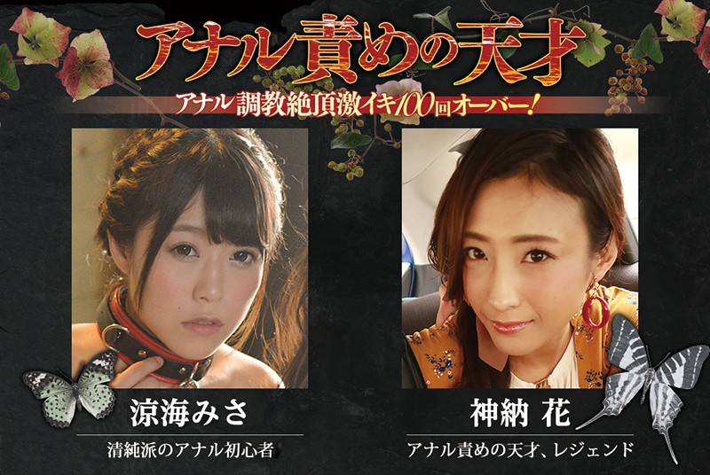 サンプル画像 11