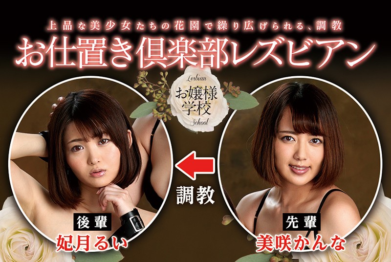 サンプル画像 11