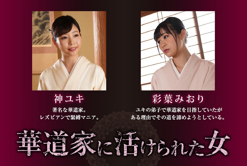 サンプル画像 11