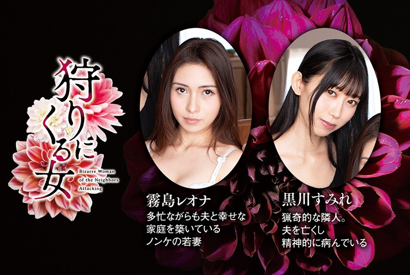 サンプル画像 11