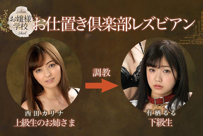 サンプル画像 11