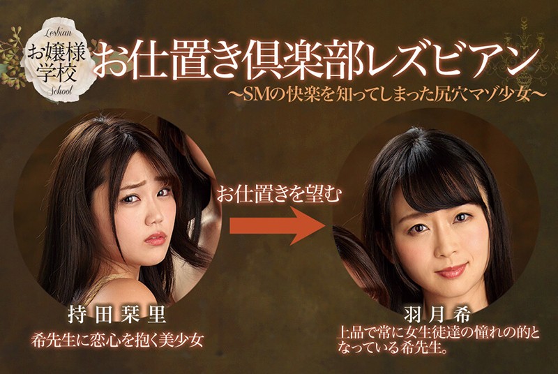 サンプル画像 11