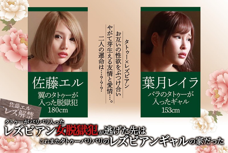 サンプル画像 11