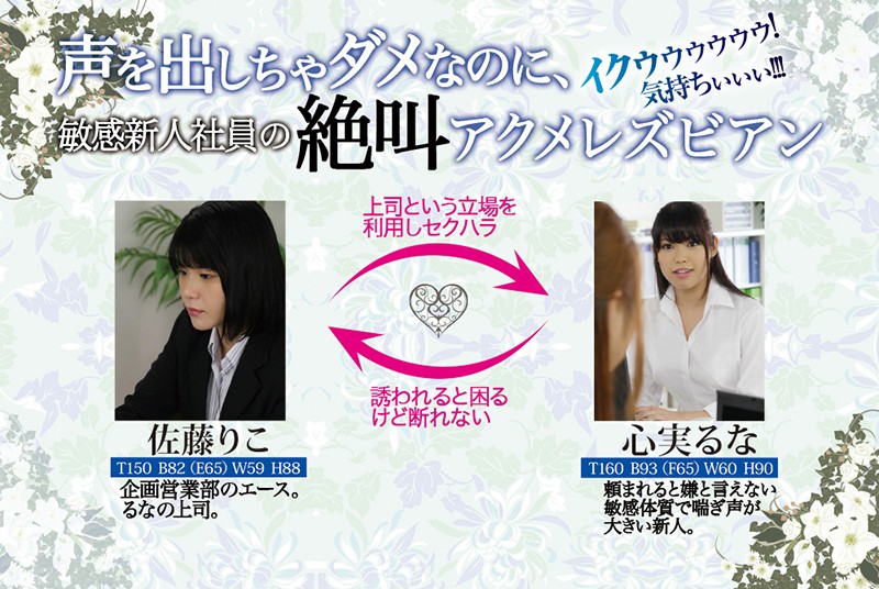 サンプル画像 11