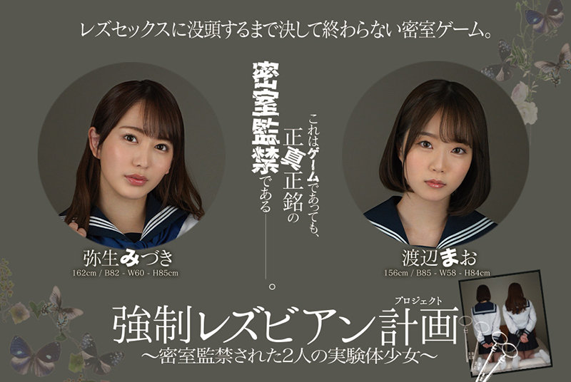 サンプル画像 11