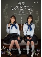 パッケージ画像