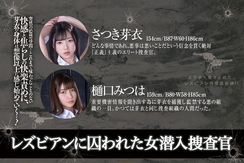 サンプル画像 11