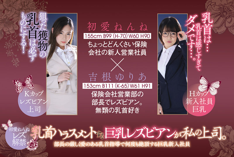 サンプル画像 11