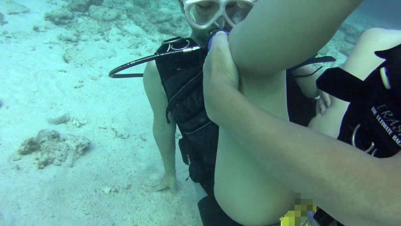 サンプル画像 8