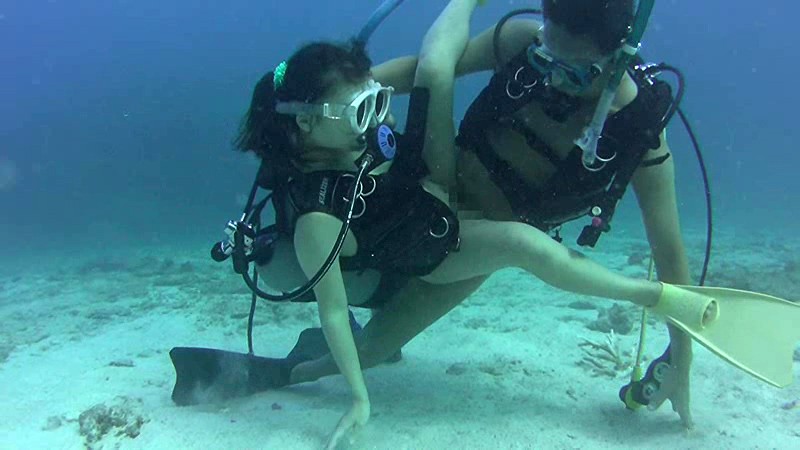 サンプル画像 9