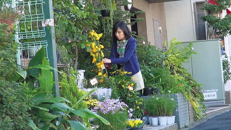 サンプル画像 6