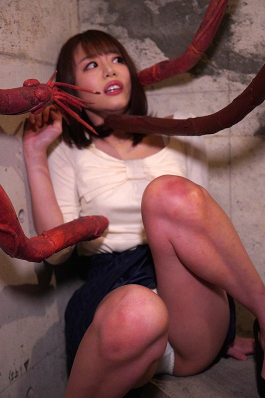 サンプル画像 14