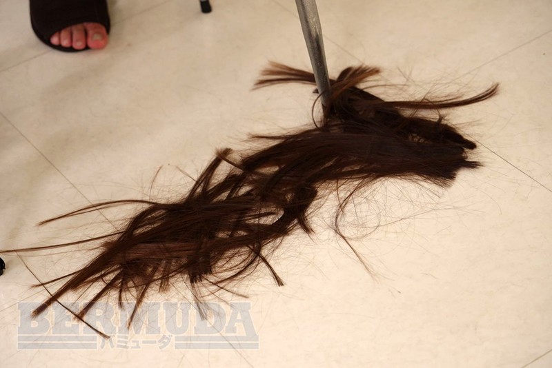 サンプル画像 13