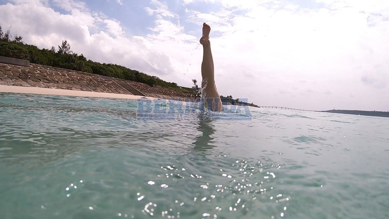 サンプル画像 11